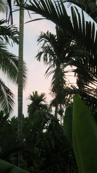 DSCN2784.jpg
