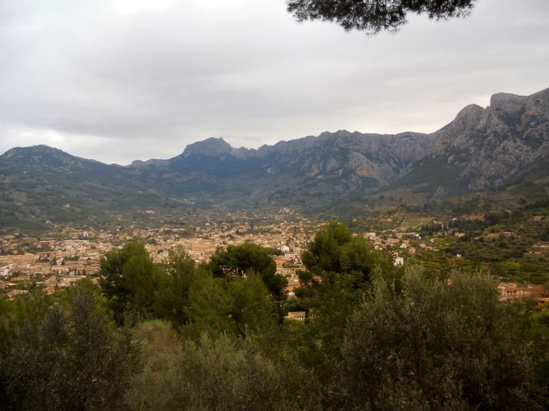 DSCN6120.jpg