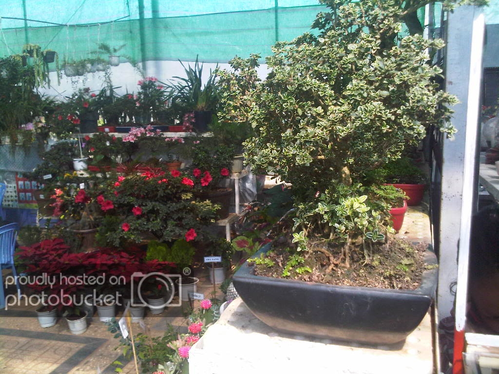 IMG-20111122-00172.jpg