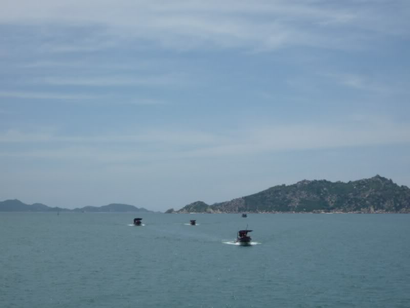 P1010532800x600.jpg