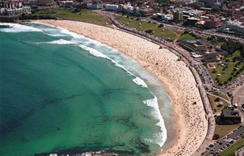 20495993_images758167_Bondi.jpg