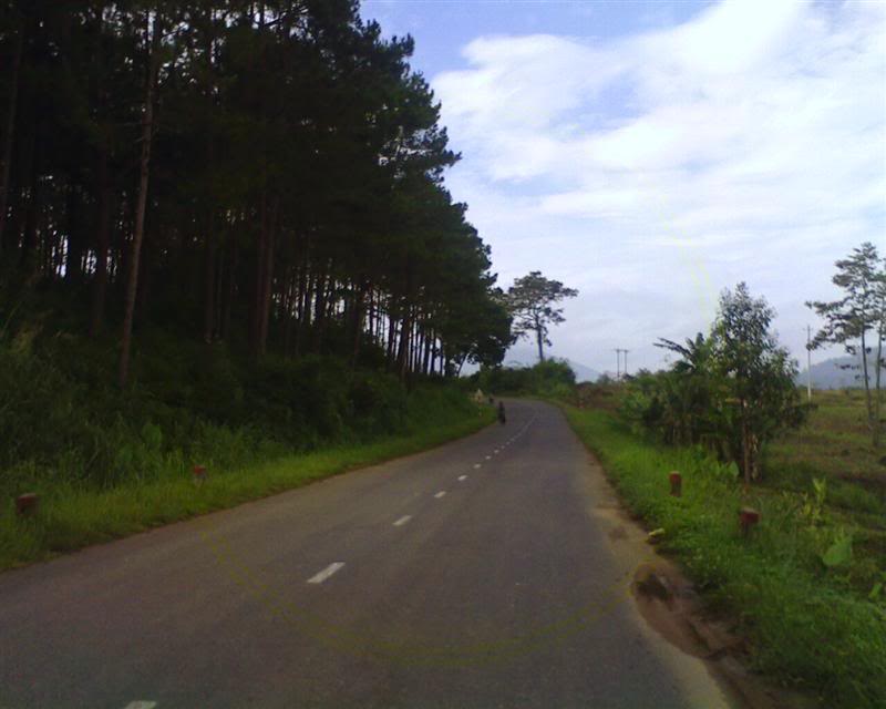 BIMG0391.jpg