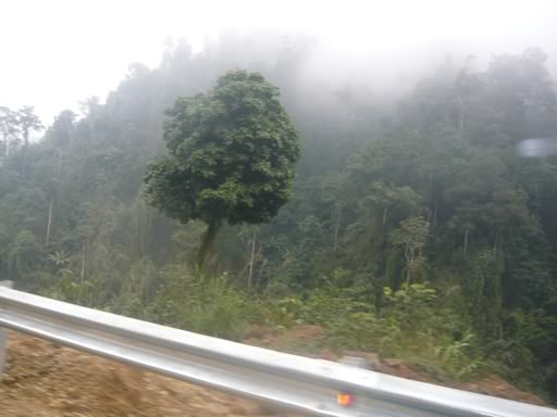 P1020517.jpg