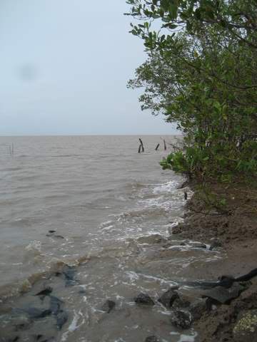 IMG_2283.jpg