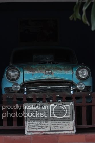IMG_2923.jpg
