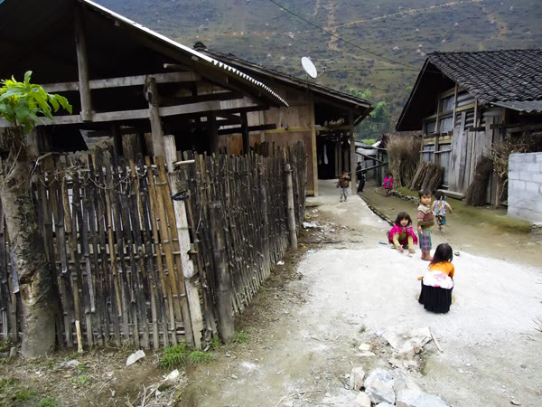 DSC01485.jpg