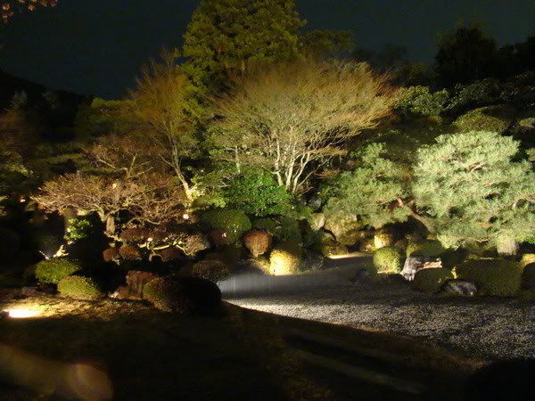 DSC02818_resize.jpg