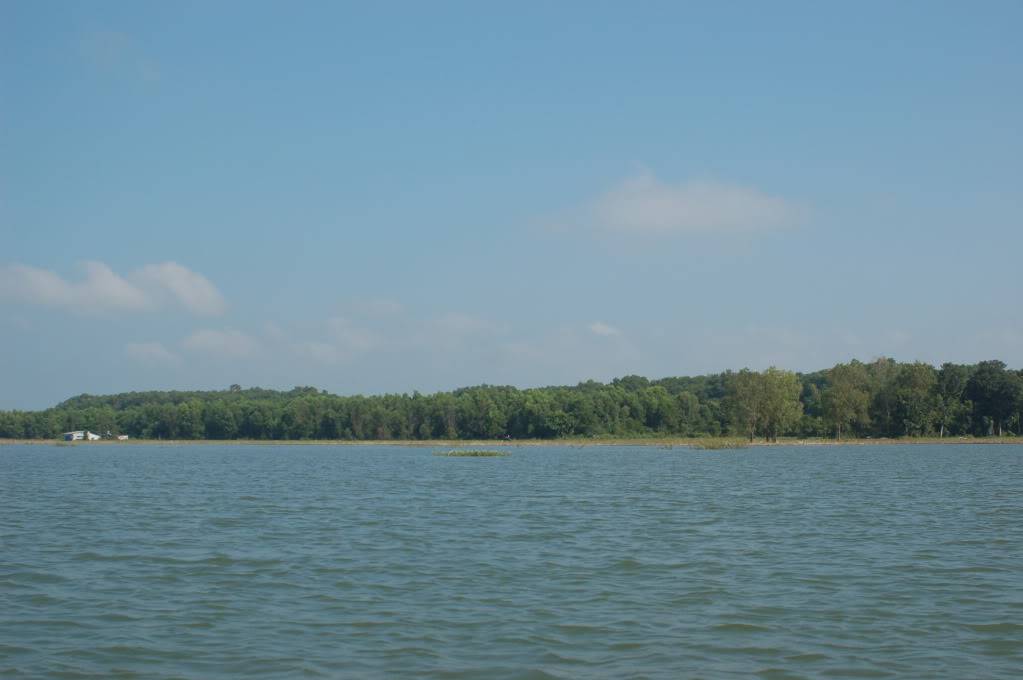 DSC_0732.jpg