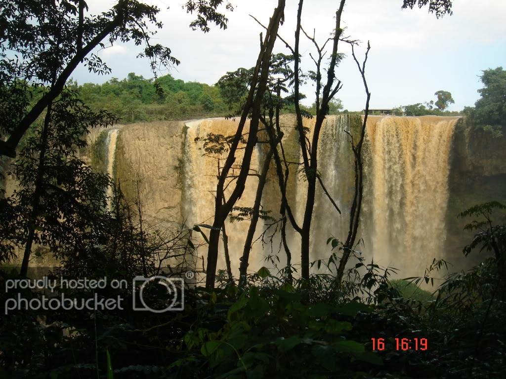 DSC01220.jpg