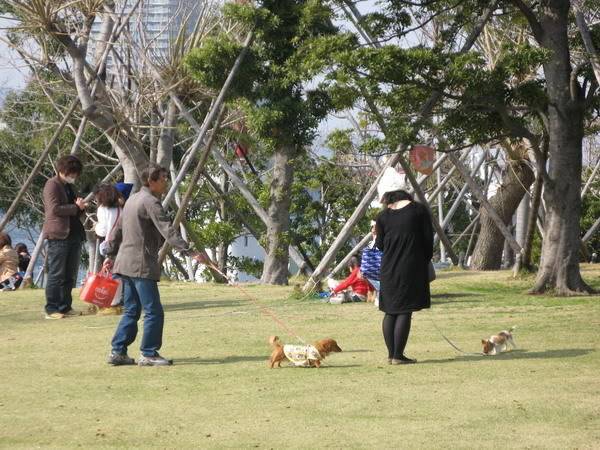 IMG_0960_resize.jpg