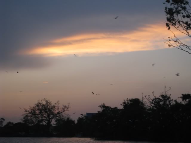 IMG_3312.jpg
