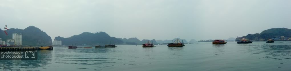 DSC00795.jpg
