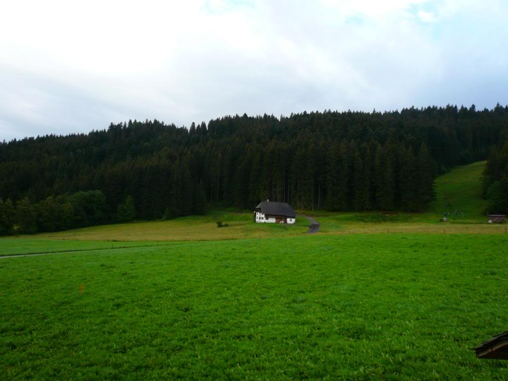 P1020309.jpg