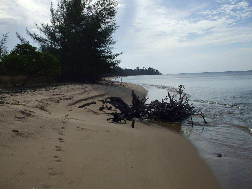 DSCF4805.jpg