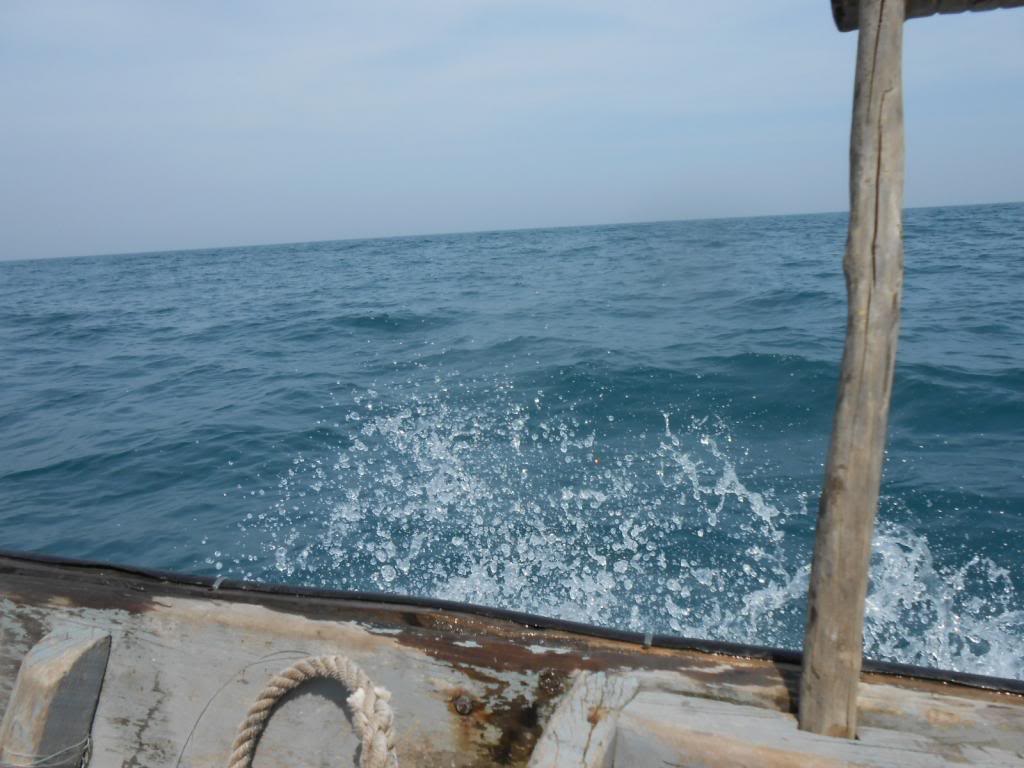 DSCN3929.jpg