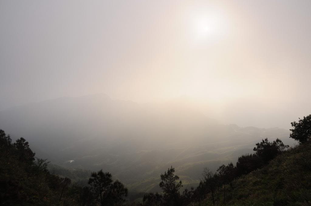 DSC_1586_zps1239cd3c.jpg
