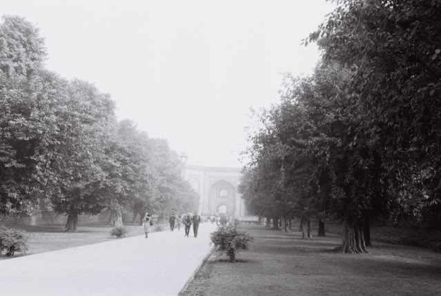 20110426-23.jpg