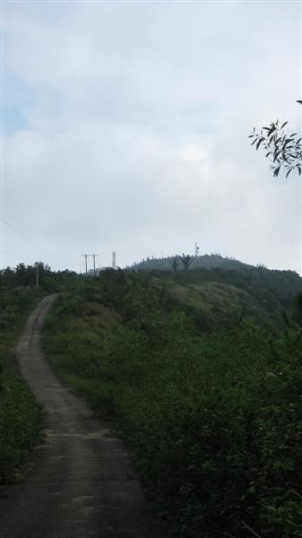 IMG_5631Medium.jpg