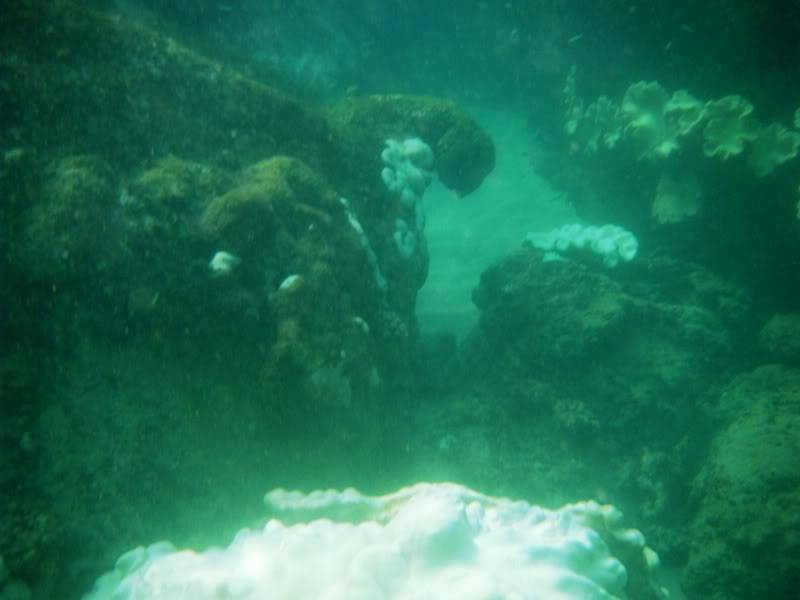 DSCF0048.jpg
