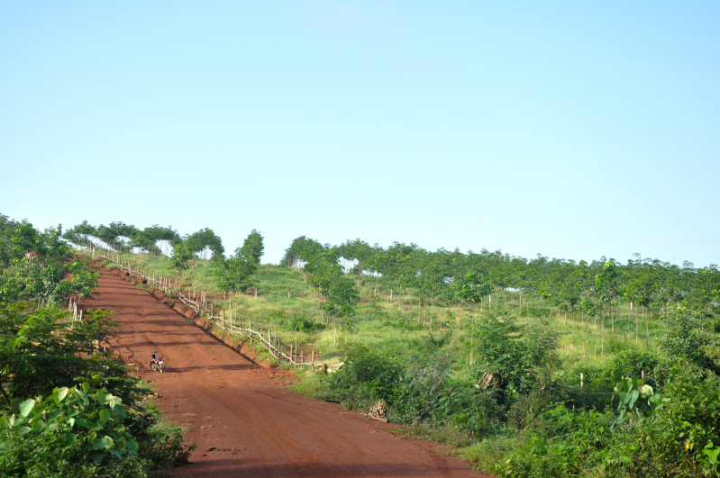 DSC_1448.jpg