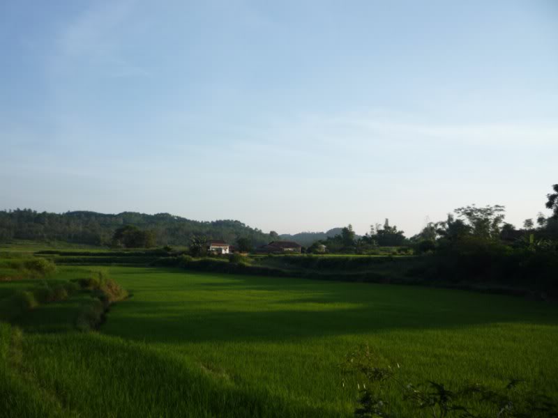 P1020101800x600.jpg