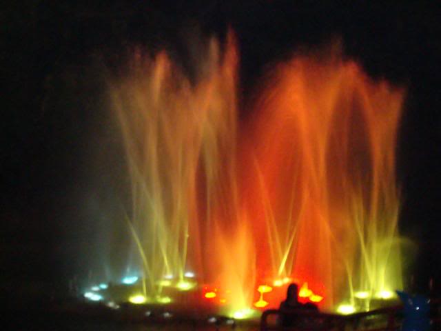 DSC00618.jpg
