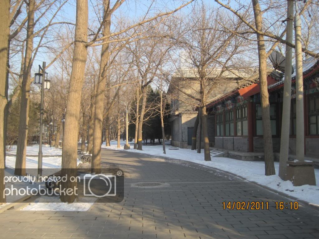 IMG_5995.jpg