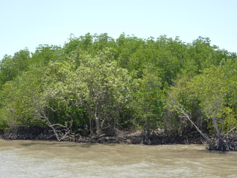 P1030241800x600.jpg