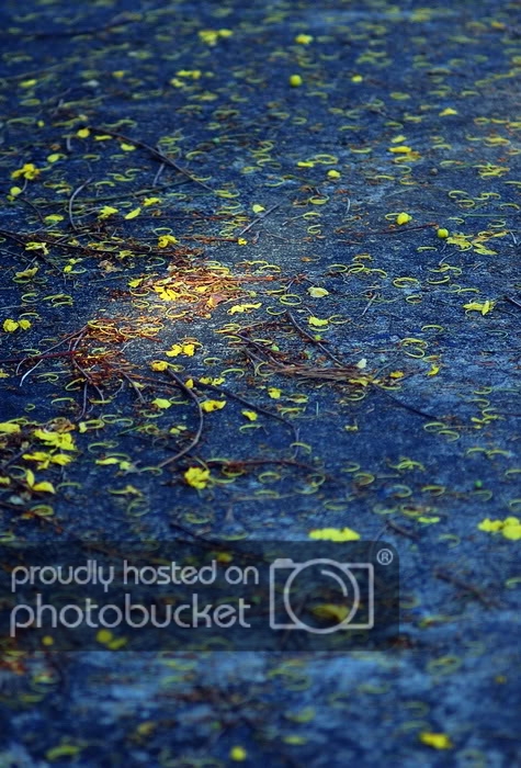 DSC_6550_resize.jpg