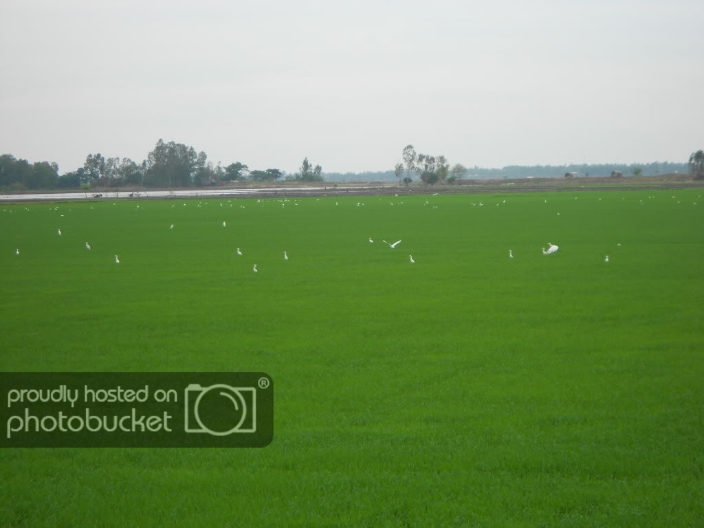 DSCN0714.jpg