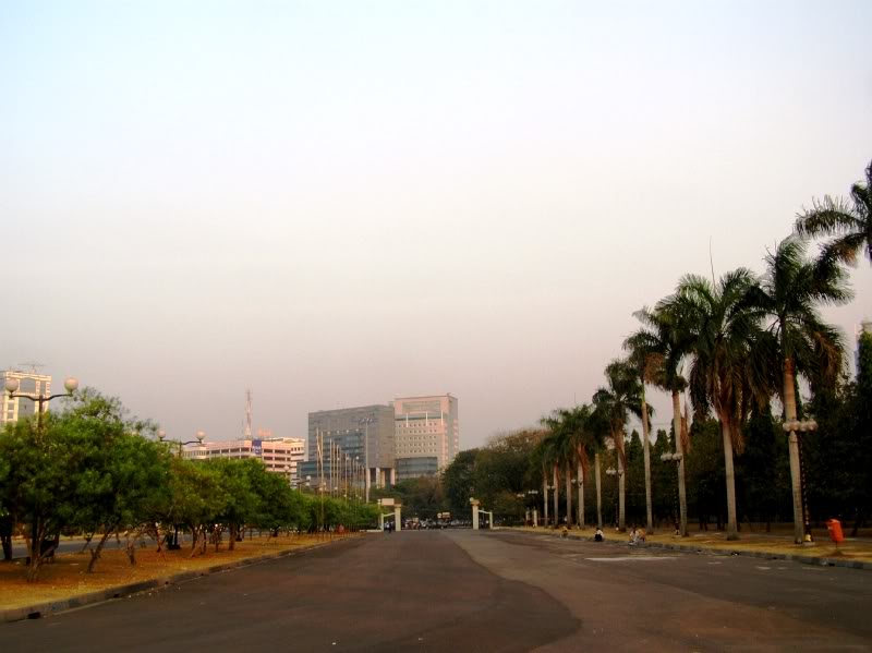 P7290432.jpg