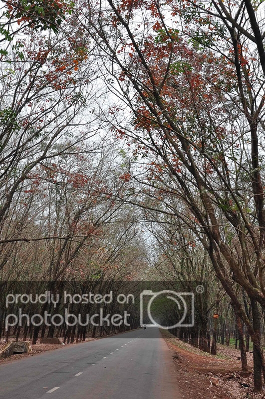DSC_2709_zps1f2b184f.jpg