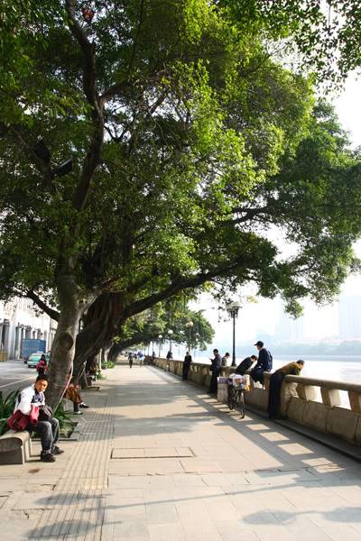 chaugiang2.jpg