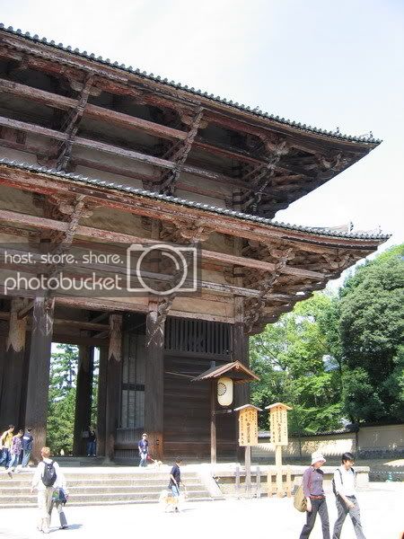 IMG_0662_resize.jpg