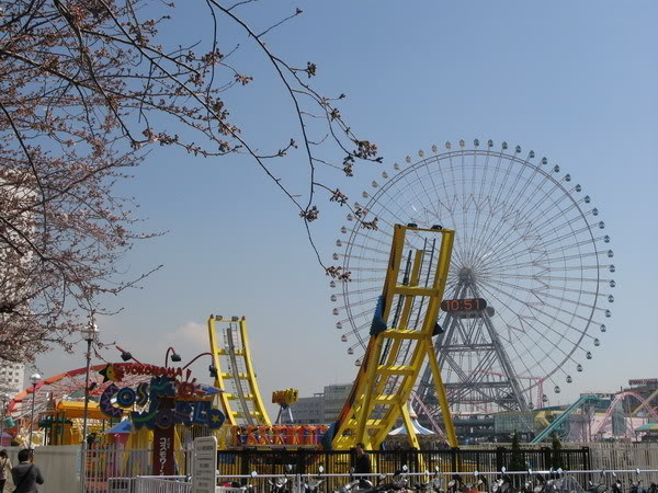 IMG_1997_resize.jpg