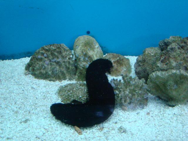 DSC00430.jpg