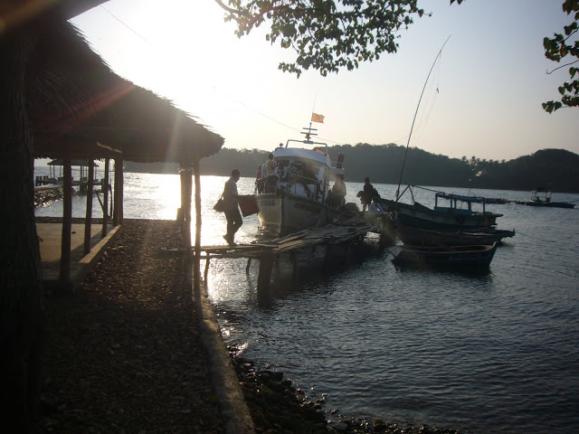 P1020177.JPG