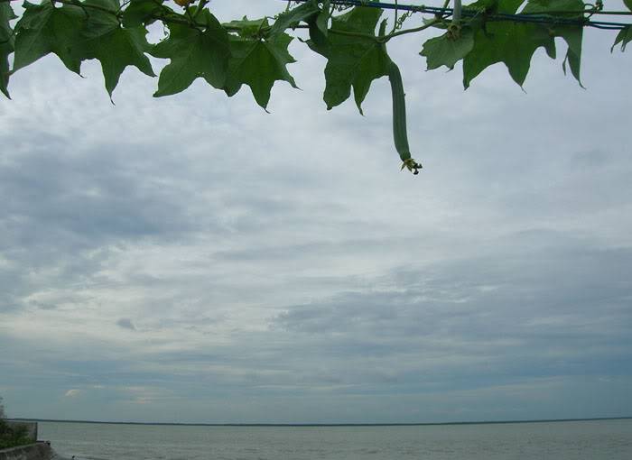 DSCN0983.jpg