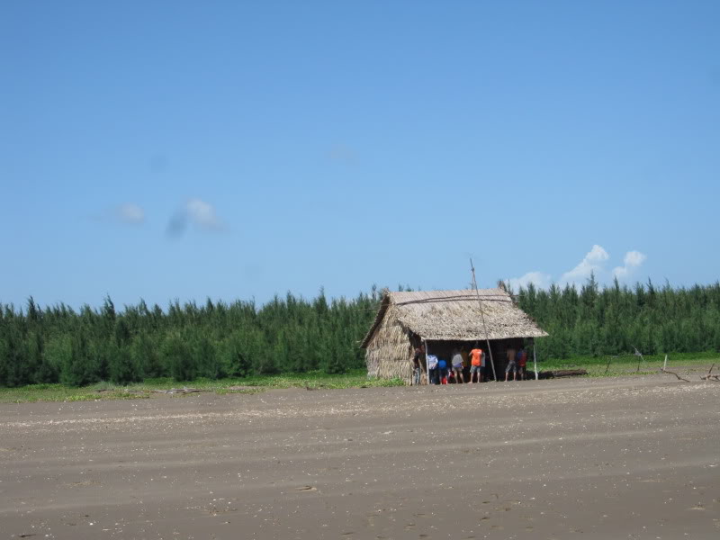 IMG_3385.jpg