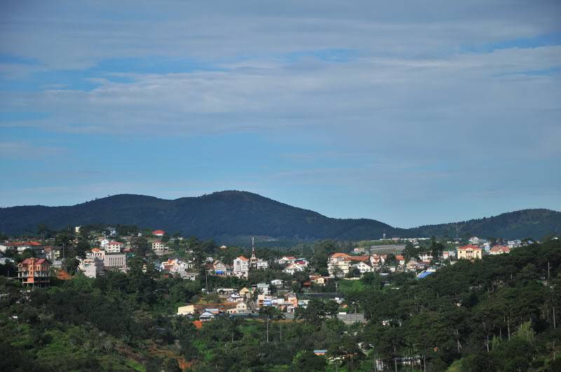 DSC_3610.jpg