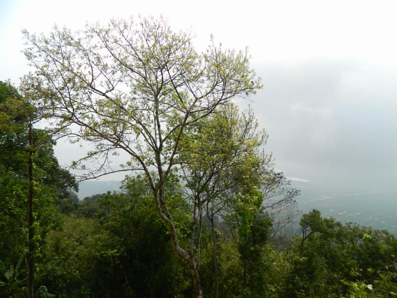 DSCN3696.jpg