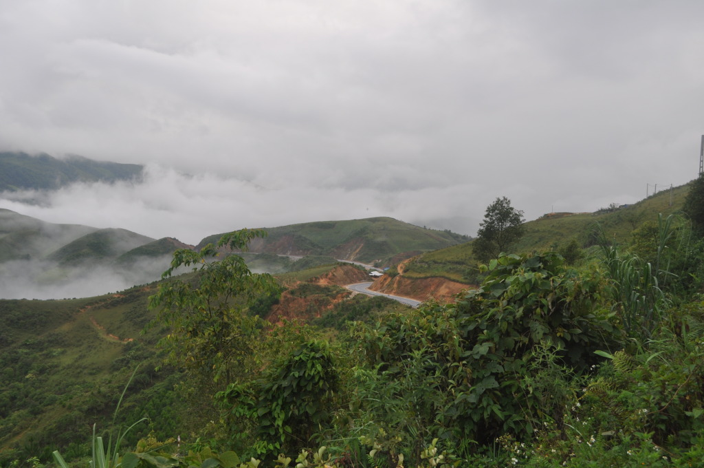 DSC_0014.jpg