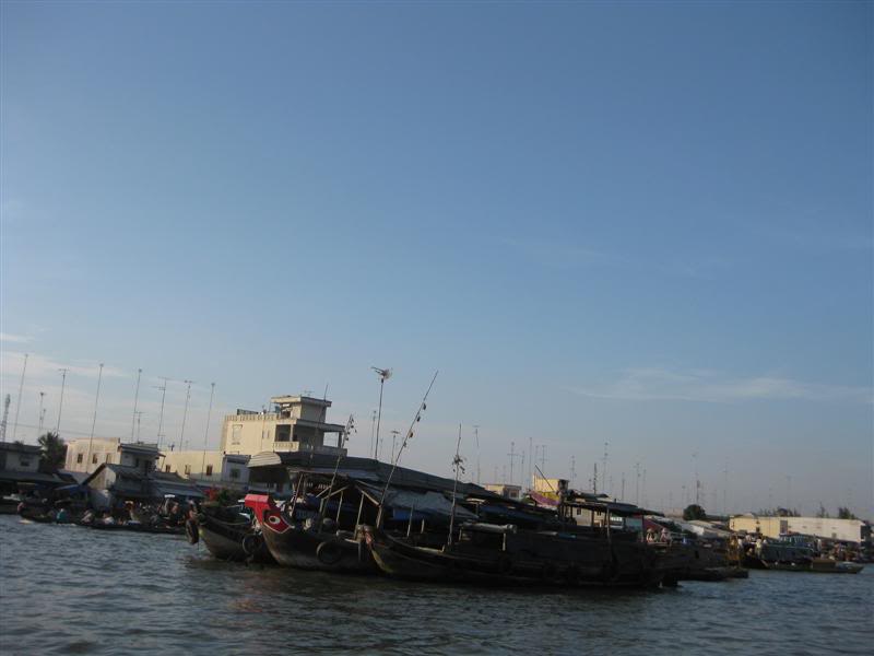 IMG_2202Medium.jpg