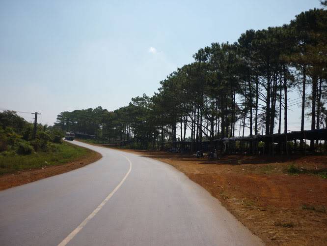 P1010379.jpg