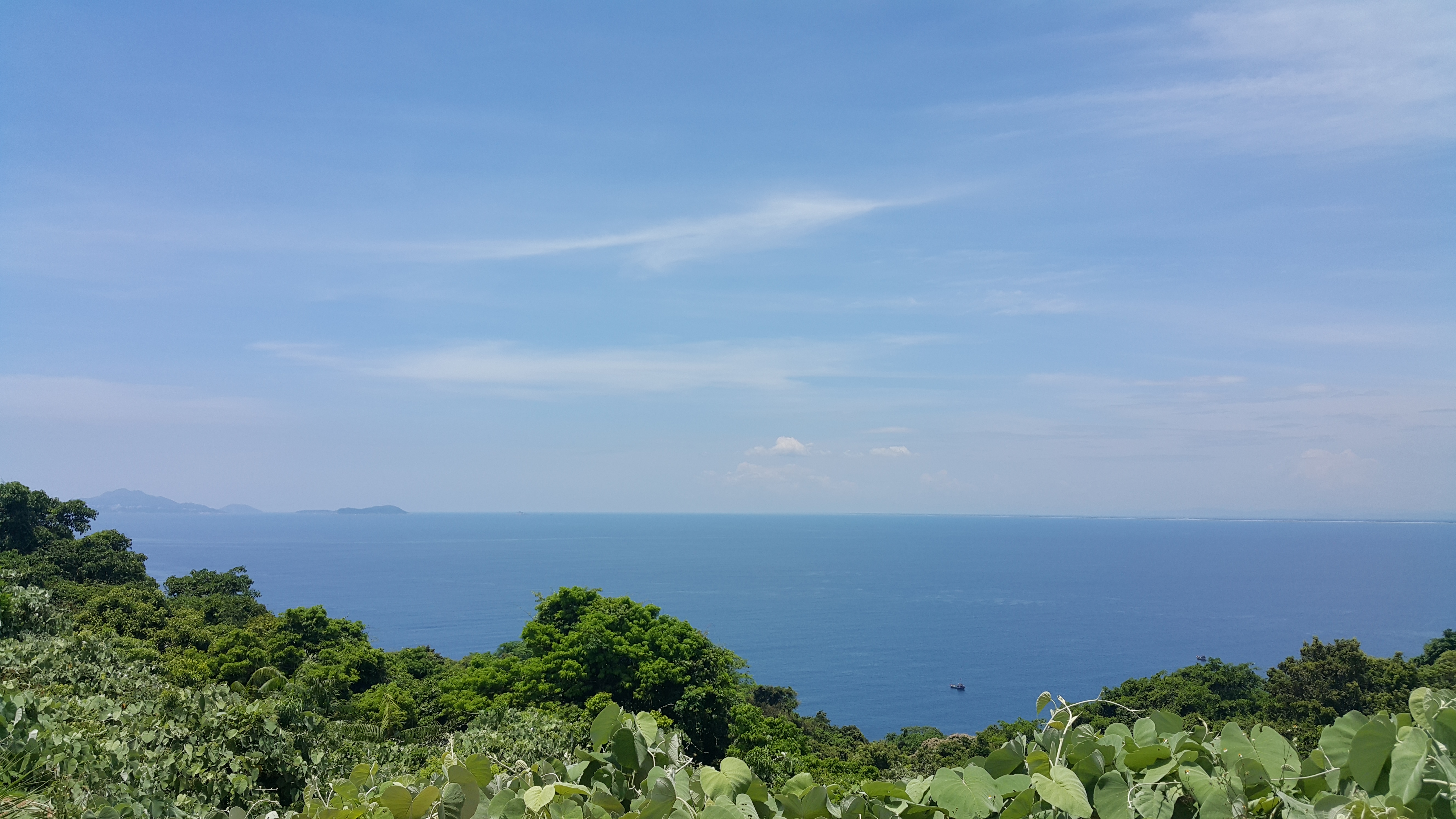 20170620_111317.jpg