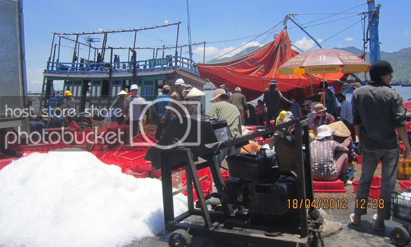 IMG_4933.jpg