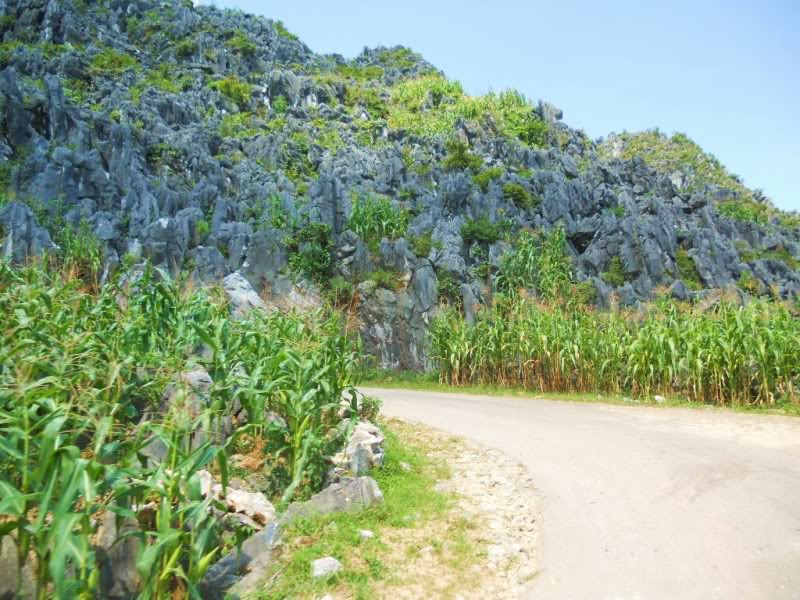 DSCN3974.jpg