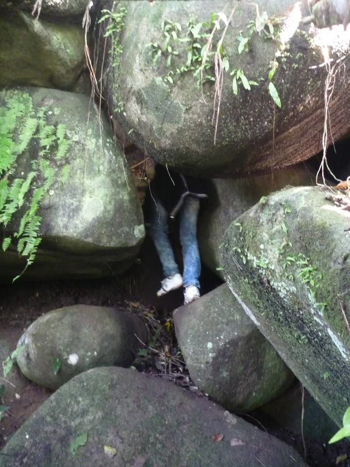 P1020100.jpg