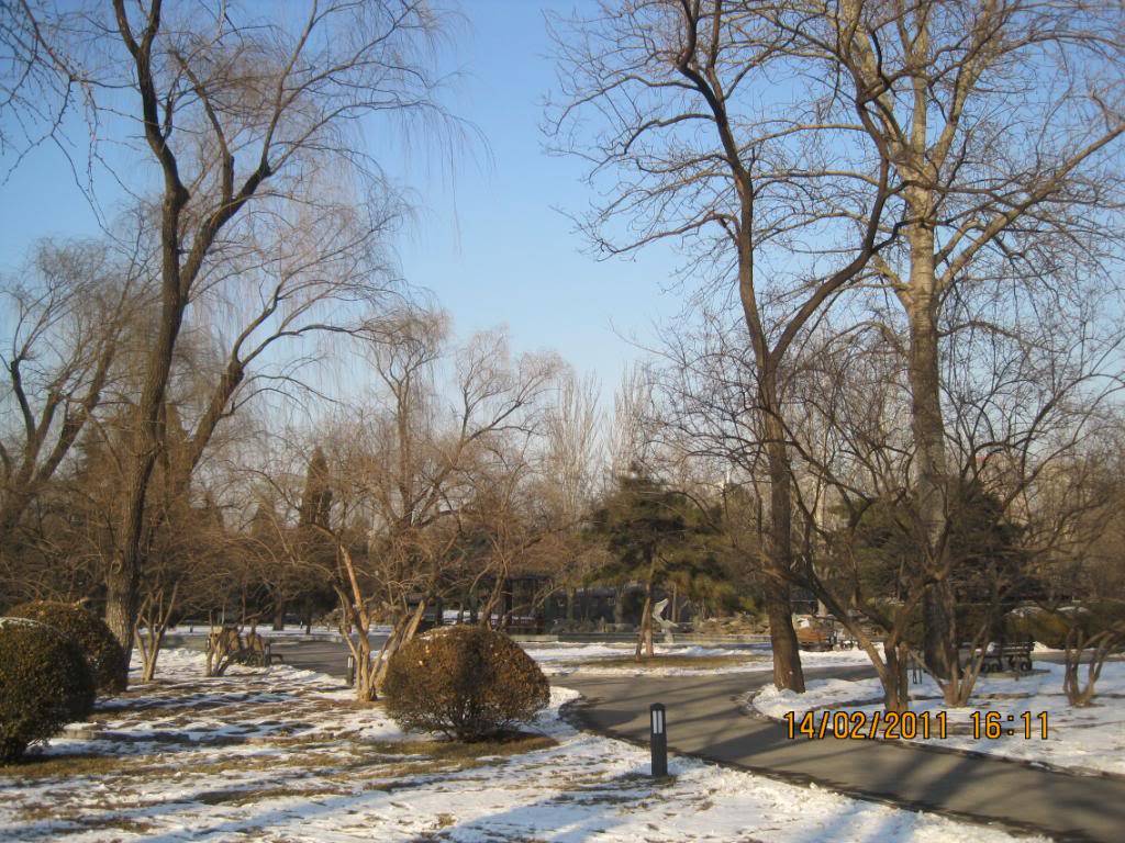 IMG_5999.jpg