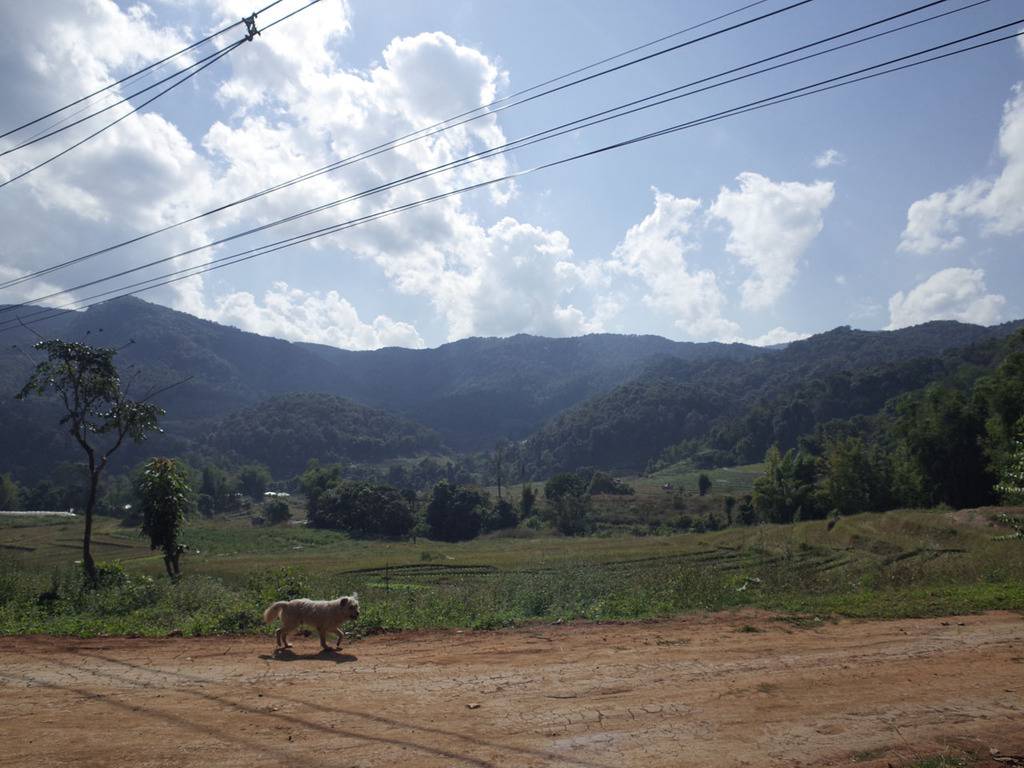 WDAI073517_zpsfxamrtmk.jpg